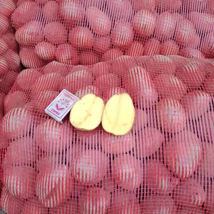 Картофель