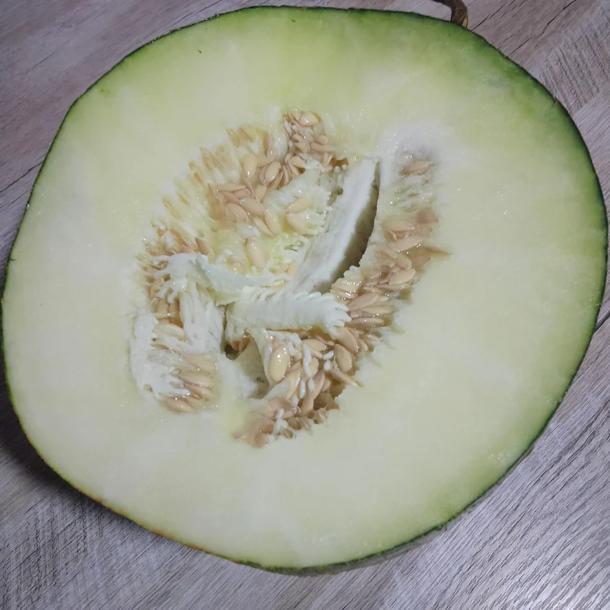 Дыня, сорт Канталупа